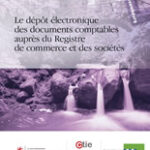 le-depot-electronique-des-documents-comptables-aupres-du-registre-de-commerce-et-des-societes-9789046544143