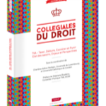 tva-taxer-deduire-exonerer-et-punir-etat-des-savoirs-enjeux-et-perspectives-9782919778768