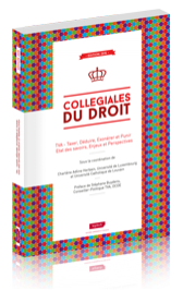 Couverture du livre : TVA – Taxer, Déduire, Exonérer et Punir – Etat des savoirs, Enjeux et Perspectives – 9782919778768 - sur www.promoculture.lu