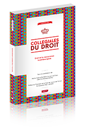 Couverture du livre : Droit de la concurrence luxembourgeois – 9782919778874 - sur www.promoculture.lu