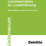 la-declaration-fiscale-des-societes-commerciales-au-luxembourg-9782879749822