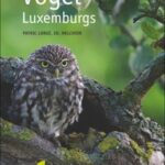 die-vogel-luxemburgs-9782919920013
