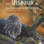 les-oiseaux-du-grand-duche-de-luxembourg-9782919951116