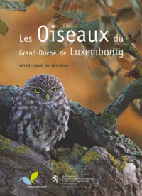 Couverture du livre : Les oiseaux du Grand-duché de Luxembourg – 9782919951116 - sur www.promoculture.lu