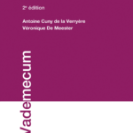 suretes-et-garanties-au-grand-duche-de-luxembourg-9782879980157