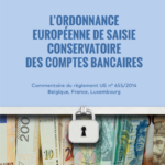 lordonnance-europeenne-de-saisie-conservatoire-des-comptes-bancaires-9782919782925
