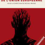 les-defis-actuels-de-lunion-europeenne-9782919814329