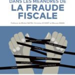 les-meandres-de-la-fraude-fiscale-9782919814473