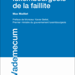 manuel-de-droit-luxembourgeois-de-la-faillite-9782879985671