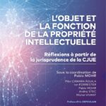 lobjet-et-la-fonction-de-la-propriete-intellectuelle-9782919814589