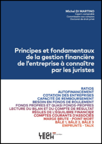 Couverture du livre : Principes et fondamentaux de la gestion financière à connaître par les juristes – 9782919814572 - sur www.promoculture.lu