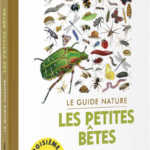 guide-betes3-1