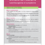 cahiers-de-fiscalite-luxembourgeoise-et-europeenne-2023-2-9782807943353