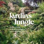 jardin-jungle-9782379223273