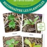 les-antiseches-de-terre-vivante-reconnaitre-les-plantules-9782360987788