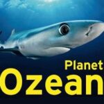 planet-ozean-9783837526189