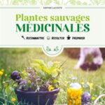 plantes-sauvages-medicinales-9782849392713