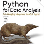 python-for-data-analysis-9781098104030