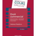 droit-commercial-9782247231515