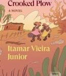 crooked-plow-9781839766404