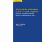 de-minimis-les-petites-causes-en-droit-de-lunion-europeenne-9782802773979