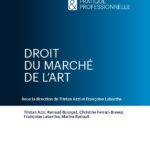 droit-du-marche-de-lart-9782275061566