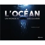 L-ocean