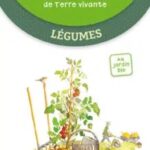 les-antiseches-de-terre-vivante-legumes-4-218x380