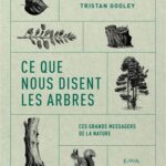 Ce-que-nous-disent-les-arbres