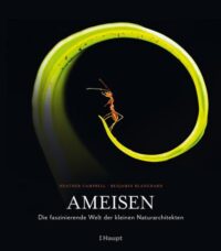Couverture du livre : Ameisen – 9783258083742 - sur www.promoculture.lu