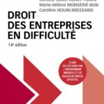 droit-des-entreprises-en-difficulte-9782275143842