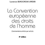 la-convention-europeenne-des-droits-de-lhomme-9782275138923
