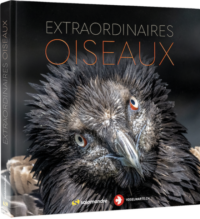Couverture du livre : Extraordinaires oiseaux – 9782889585533 - sur www.promoculture.lu