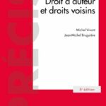droit-dauteur-et-droits-voisins-9782247231799