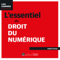 Couverture du livre : L&rsquo;essentiel du droit du numérique – 9782297178976 - sur www.promoculture.lu