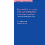 reglement-dsa-2022-2065-relatif-a-un-marche-unique-des-services-numeriques-9782802775287