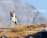 Couverture du livre : Der Wolf – 9783258084329 - sur www.promoculture.lu