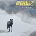 des-loups-ordinaires-9782283039748