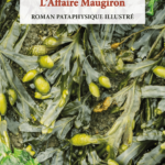 Cretin_ou_affaire_Maugiron