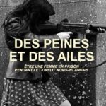 Des-Peines-et-des-Ailes