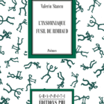 Fusil_de_Rimbaud