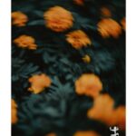 arten-des-lebendigseins-9783751820196