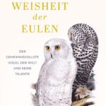 die-weisheit-der-eulen-9783423284394