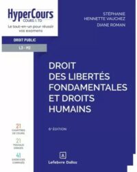 Couverture du livre : Droit des libertés fondamentales et droits humains – 9782247230563 - sur www.promoculture.lu