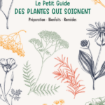 le-petit-guide-des-plantes-qui-soignent-9782383557937