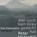 wer-noch-kein-grau-gedacht-hat-9783518473412