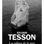 les-piliers-de-la-mer-9782226491329
