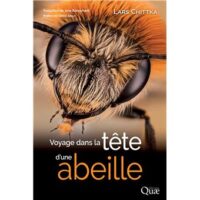 Couverture du livre : Voyage dans la tête d&rsquo;une abeille – 9782759240890 - sur www.promoculture.lu