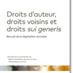 droits-dauteur-droits-voisins-et-droits-sui-generis-9782919826636