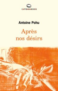 Couverture du livre : Après nos désirs – 9789995943639 - sur www.promoculture.lu